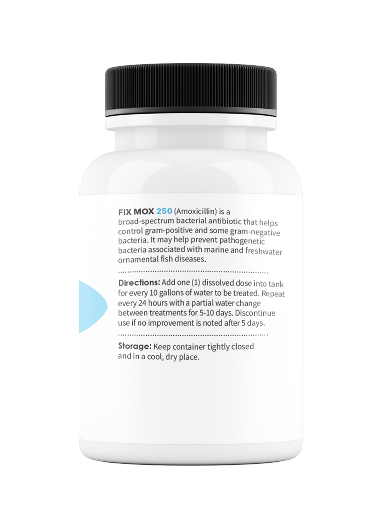 Fix Moxi 250 250Mg (Amoxicillin) 100 Count