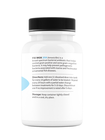 Fix Moxi 250 250Mg (Amoxicillin) 100 Count