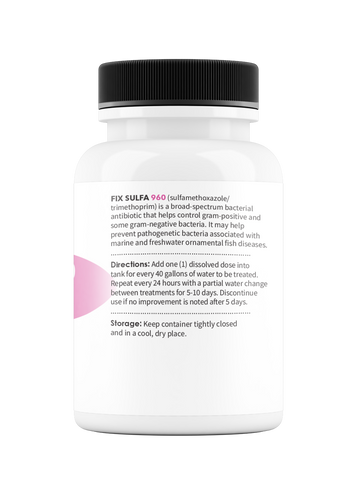 Fix Sulfa (Sulfamethoxazole / Trimethoprim) 160mg 60 Count