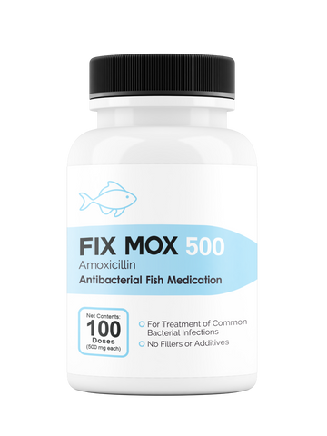 Fix Mox 500 - 500Mg (Amoxicillin) 100 Count
