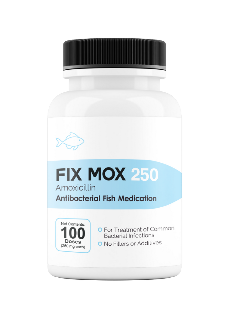 Fix Moxi 250 250Mg (Amoxicillin) 100 Count