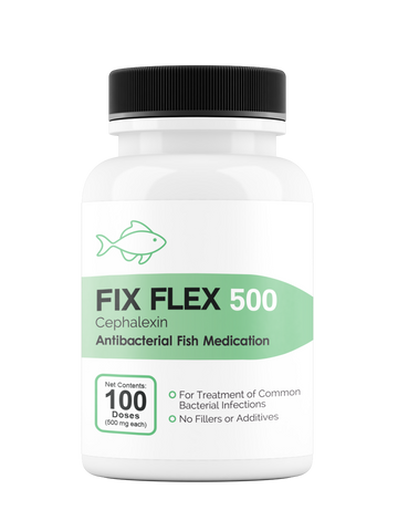 Fix Flex 500 500Mg (Cephalexin) 100 Count