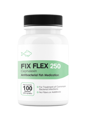 Fix Flex 250 250Mg (Cephalexin) 100 Count