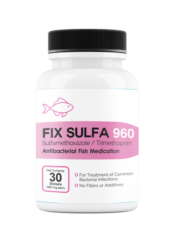 Fix Sulfa (Sulfamethoxazole / Trimethoprim) 160mg 30 Count