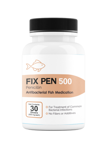 Fix Pen 500 (Penicillin) Tablets 500mg 30 Count