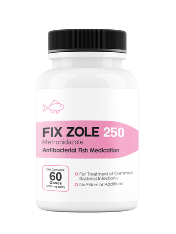 Fix Zole 250 Mg (Metronidazole ) 60 Count