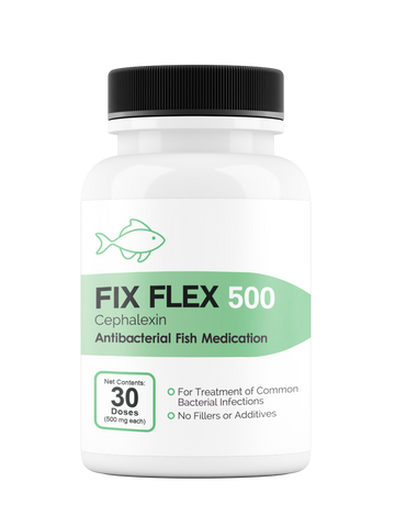 Fix Flex 500 500Mg (Cephalexin) 30 Count