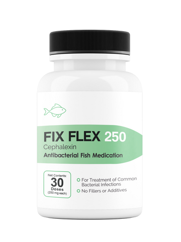 Fix Flex 250 250Mg (Cephalexin) 30 Count