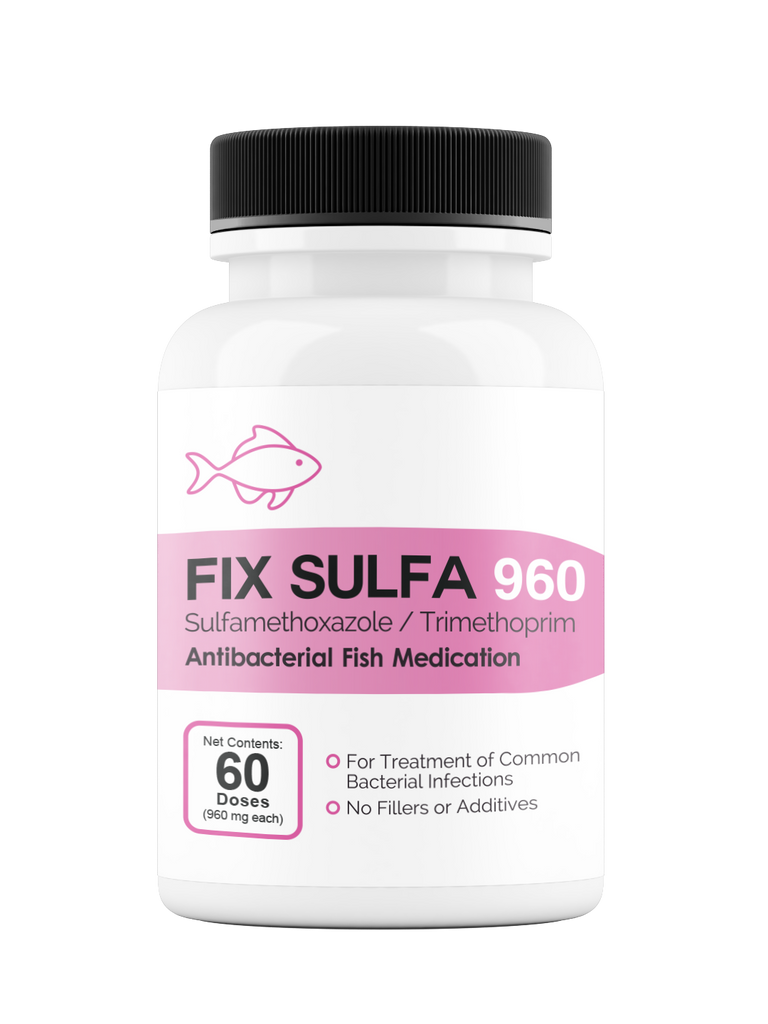 Fix Sulfa (Sulfamethoxazole / Trimethoprim) 160mg 60 Count