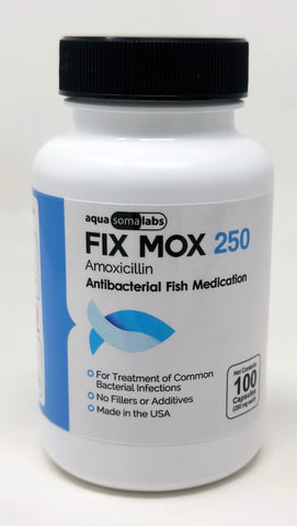 Fix Moxi 250 250Mg (Amoxicillin) 100 Count