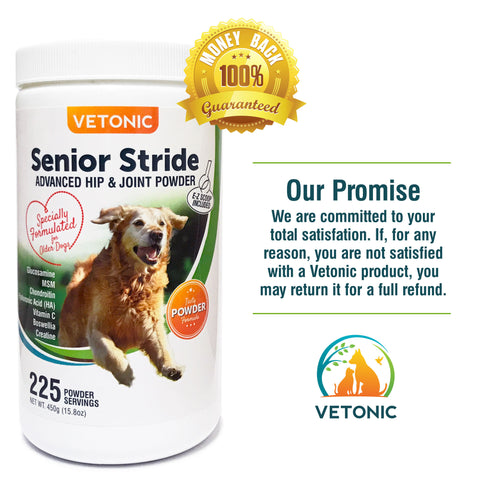 Senior Stride Hip & Joint Powder, 225 Scoop Jar