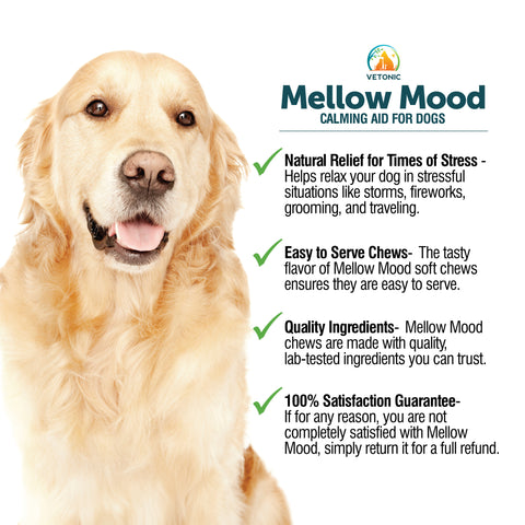 Mellow Mood Calming Aid for Dogs, 150 Soft Chews