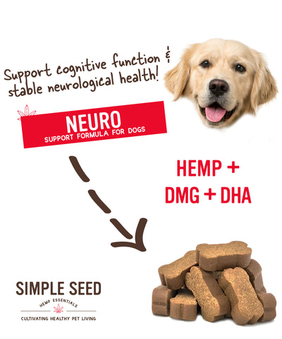 Simple Seed Neuro Soft Chews, 30 ct pouch